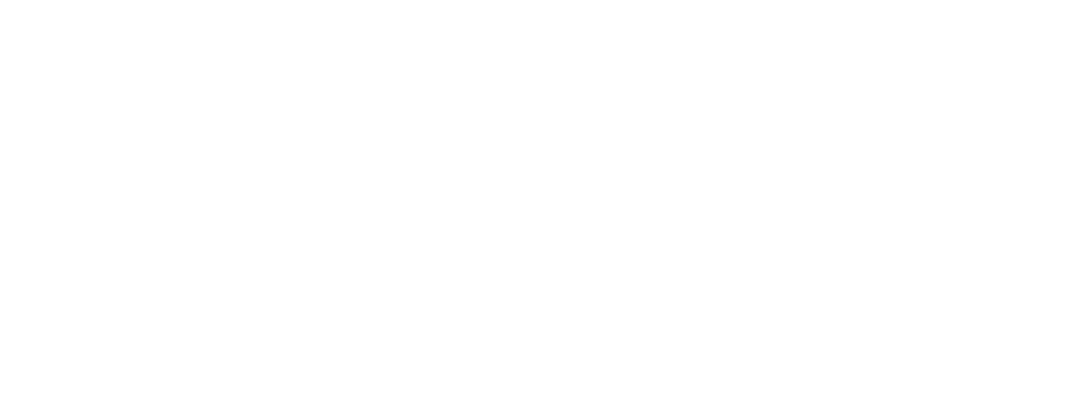 partner img