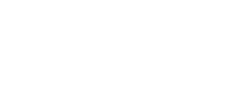 partner vsaas-in-bangladesh