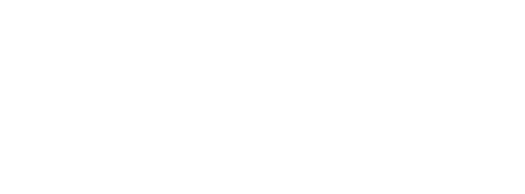 partner peru_nvl