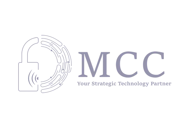 img-partner-vsaas-in-egypt